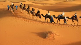 3.200 touristes de la communauté nationale à l’étranger accueillis à Taghit