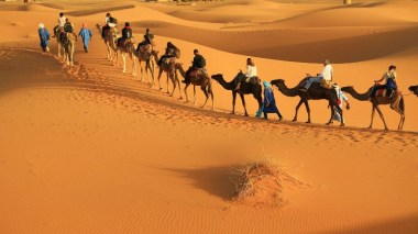 3.200 touristes de la communauté nationale à l’étranger accueillis à Taghit
