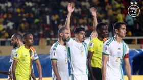 هذا ما يلزم “الخضر” لاستعادة بريقه