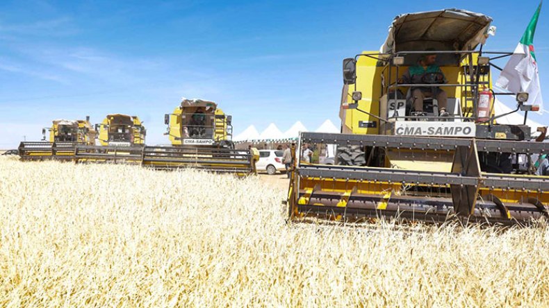 ثورة الفلاحة… حقيقة ميدانية في الجزائر