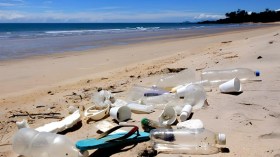 سلوكيات الجزائري في الشواطئ.. هذه هي الإتيكيت التي يفتقدها