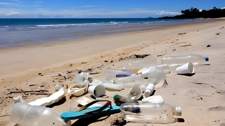 سلوكيات الجزائري في الشواطئ.. هذه هي الإتيكيت التي يفتقدها