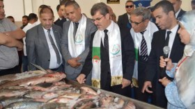 وزير الصيد البحري: نسعى لإنتاج 100 ألف طن من أسماك أحواض المياه العذبة