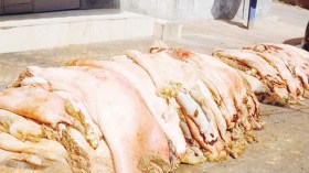 “الهيدورة” موروث شعبي يندثر مع التطورات العصرية لديكور المنازل