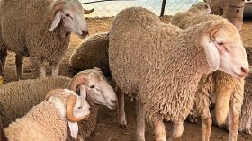 كُنا ننتظر الثناء فتفاجأنا بحملة مسْعورة ضدّنا