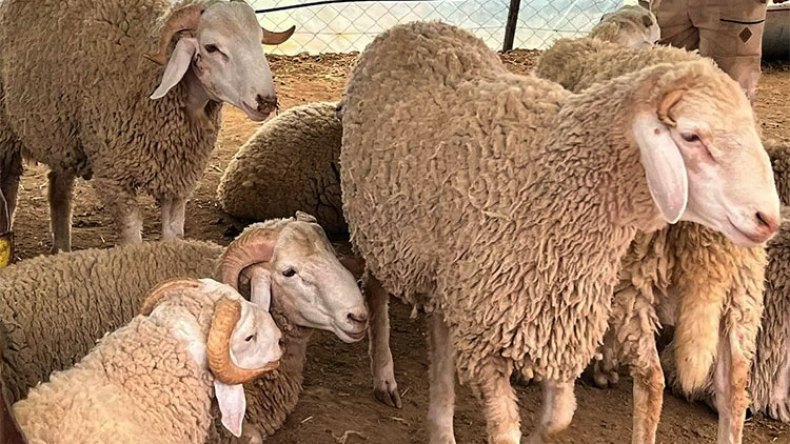 كُنا ننتظر الثناء فتفاجأنا بحملة مسْعورة ضدّنا