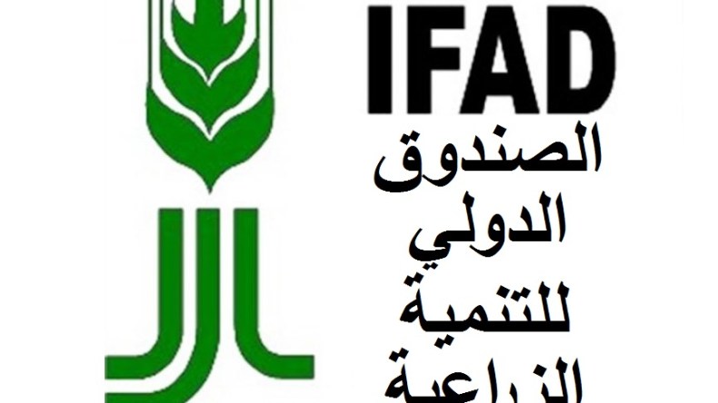 الجزائر تساهم في إعادة تكوين موارد الصندوق الدولي للتنمية الزراعية