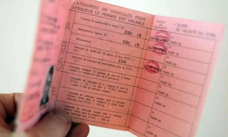 Permis de conduire en Algérie: Voici le nouveau programme de formation à la conduite
