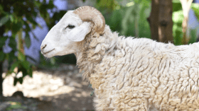 الوظيف العمومي: الأحد والإثنين والثلاثاء عطلة مدفوعة الأجر