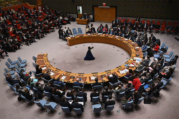 Important African Meeting in Algeria to Reform the Security Council