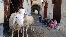 بأي حال عدت يا عيد؟