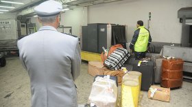 تدابير صارمة لخدمات الأمتعة والنقل والرقمنة بالجوّية الجزائرية