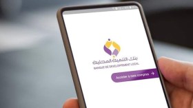 بنك التنمية المحلية يستعد لإطلاق خدمة الدفع عبر الهاتف المحمول