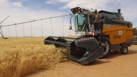 هكذا سينطلق المشروع الإيطالي للقمح والبقوليات في تيميمون