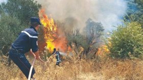 نشوب حرائق في هذه الولايات