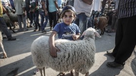 هذا ما قاله مفتي مغربي بشأن التصدق بثمن الأضحية لأهل فلسطين!
