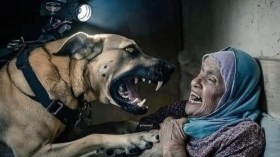 بالفيديو.. الجزائر تمنح وسام الشجاعة للمسنة الفلسطينية ضحية كلب الصهاينة