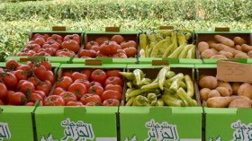 هذه خطّة التصدير للأشهر المقبلة والأسواق الأكثر طلبًا