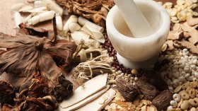 الطب التقليدي.. من العشوائية إلى الاستثمار الاقتصادي والاجتماعي
