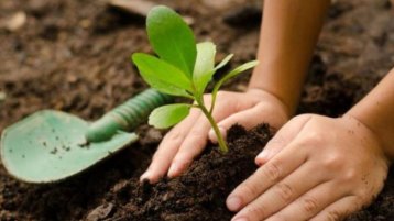 إعمار الأرض وإصلاحها ضرورة دينية وإنسانية