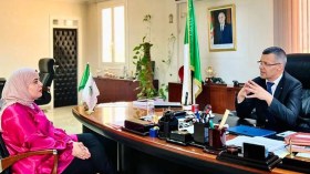 بالأرقام والولايات… هذه استثمارات الأجانب في الجزائر وجديد مصانع السيّارات