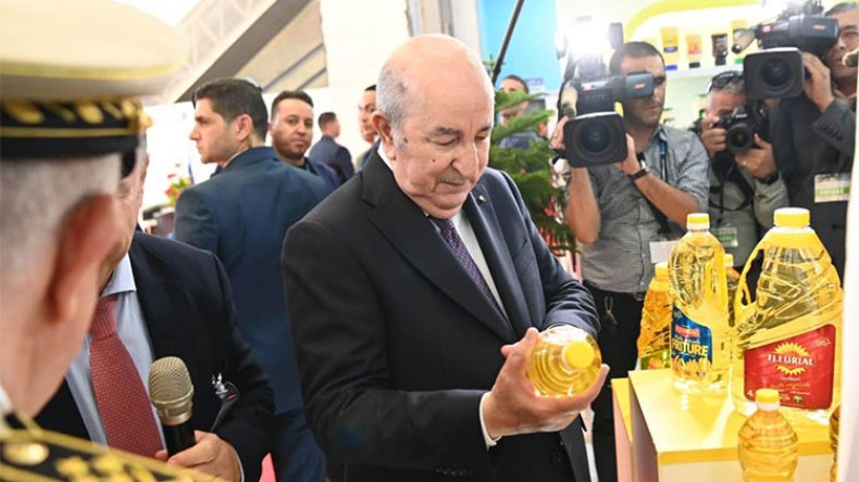 “كوندور” و”سيفيتال” في الريادة.. تقدم نوعي للإنتاج الصناعي