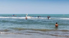 Saison estivale : Ouverture de 61 plages autorisées à la baignade à Alger