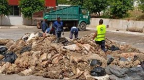 نجاح حملة جمع جلود الأضاحي المُستمرّة..