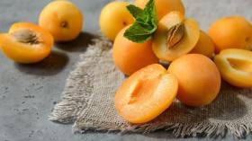 منها تعزيز صحة العين.. تعرّف على 8 فوائد للمشمش