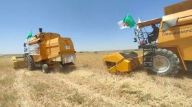 بالأرقام والتفاصيل.. هذا ما يحصل عليه أعوان الإحصاء العام للفلاحة لسنة 2024