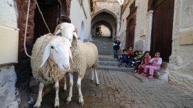 هذا توقيت إقامة صلاة عيد الأضحى في الجزائر