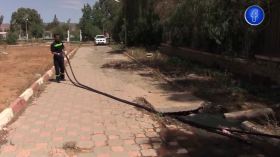 سعيدة: صادق .. قصة سنوات من التفاني في تنظيف قنوات الصرف الصحي خلال عيد الأضحى