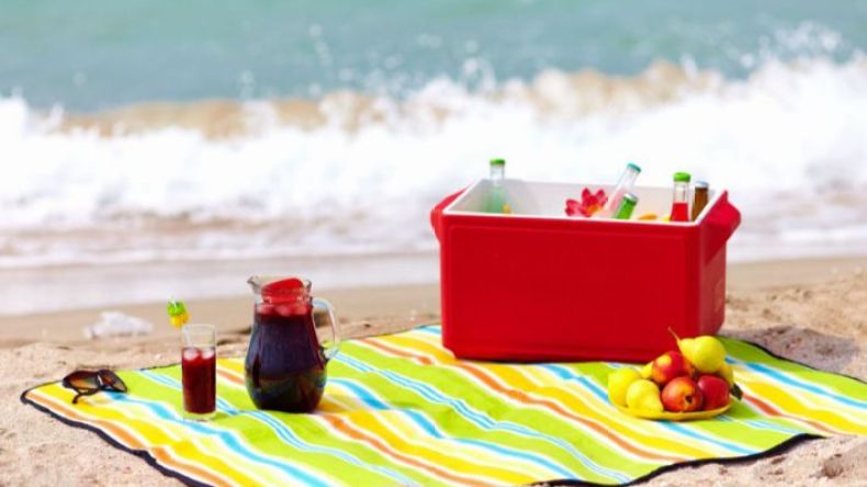 اقتراحات للخروج في نزهة في فصل الصيف