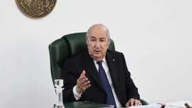 استراتيجية وطنية لتحقيق الاكتفاء الذاتي في 3 محاصيل زراعية