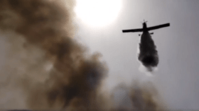 إخماد 9 حرائق غابيّة في 5 ولايات بشمال الجزائر (فيديو)