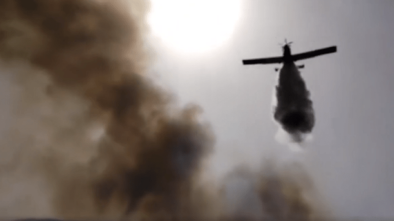 إخماد 9 حرائق غابيّة في 5 ولايات بشمال الجزائر (فيديو)