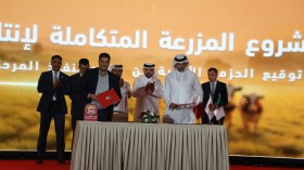 أبقار أمريكية لإطلاق مشروع “بلدنا” في الجزائر