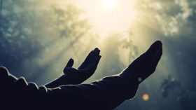 عندما تُمسي الدّعوة إلى التّوحيد جُرما!