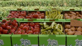 397 مليون دولار صادرات من الفلاحة والصناعات التحويلية