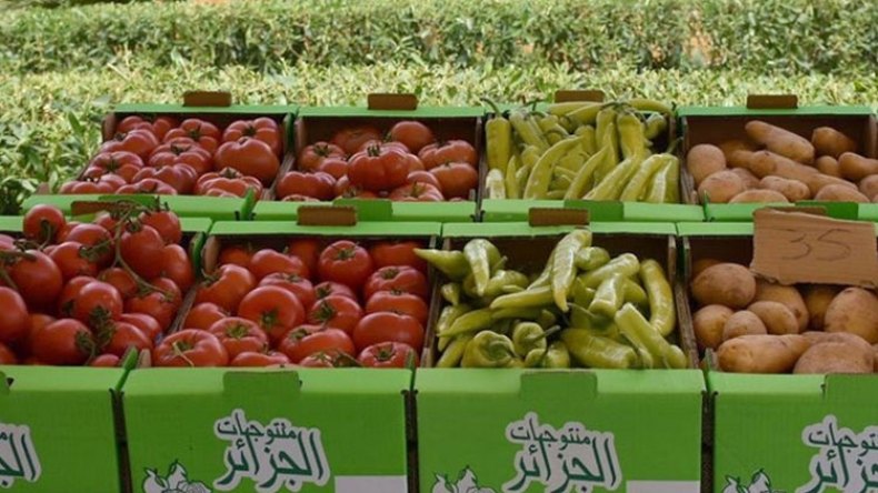 397 مليون دولار صادرات من الفلاحة والصناعات التحويلية