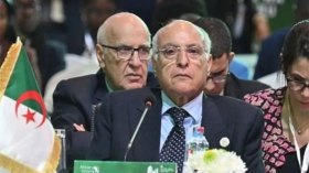 الجزائر ترافع لإعلاء مصالح الأفارقة وصوْن سيادتهم وحفظ كرامتهم