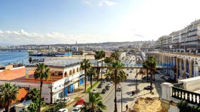 استغلال الكفاءات والمعارف في الترويج للجزائر الجديدة