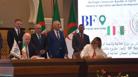 ترسانة شركات إيطالية لمرافقة بونيفيكي فيراريزي في تيميمون