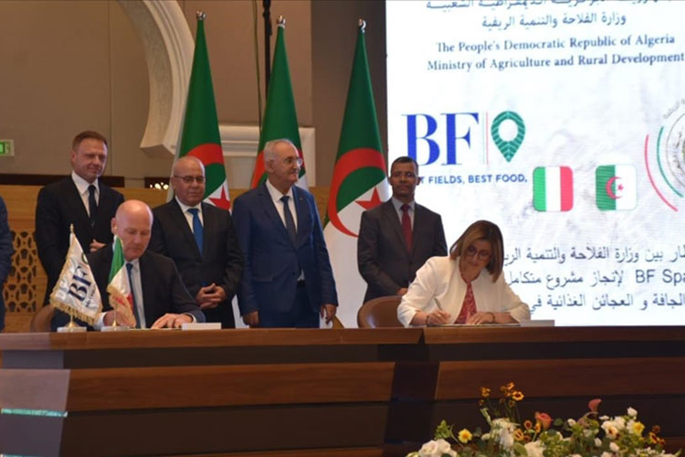 An arsenal of Italian companies to accompany ‘Bonifiche Ferraresi’ in Timimoun, southern Algeria