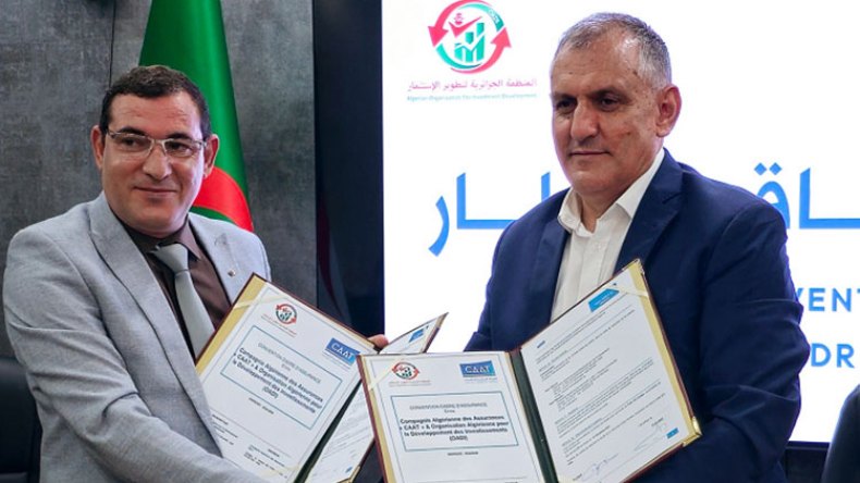 عروض تأمين شامل لأعضاء المنظمة الجزائرية لتطوير الاستثمار