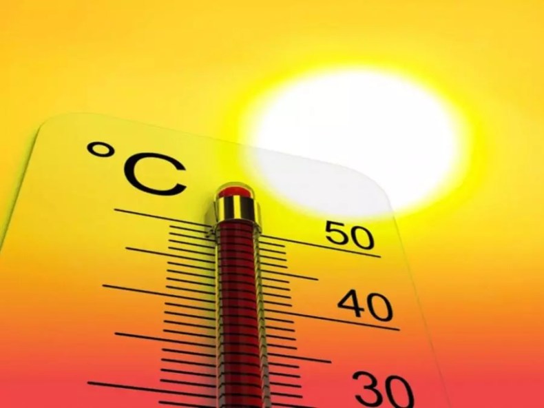 BMS: La canicule persistera dans plusieurs wilayas