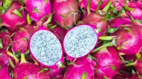 التنين أو البيتايا.. فاكهة مغرية لكن قد تكون خطرة