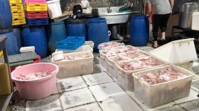 مواد غذائية سامة لتحضير الأطباق في المطاعم ومحلات الأكل السريع