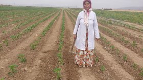 فاطيمة الزهراء قنيش.. من أستاذة إلى فلاحة منتجة