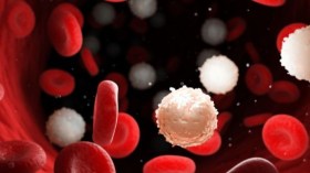 ارتفاع كريات الدم البيضاء في الجسم.. هل تدل على السرطان؟